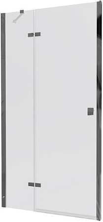 Душевая дверь Triton Бруно 99x190 (прозрачное стекло)