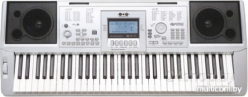 Синтезатор Pokar LP6210C