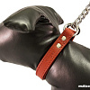 Angel Pet Rio Martingale 30553/AG (красный)
