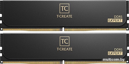 Оперативная память Team T-Create Expert 2x16ГБ DDR5 6400 МГц CTCED532G6400HC40BDC01