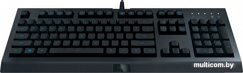 Клавиатура Razer Cynosa Lite