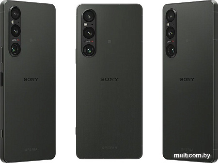 Смартфон Sony Xperia 1 V XQ-DQ72 12GB/256GB (зеленый хаки)