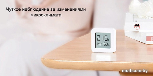 Термогигрометр Xiaomi Mi Temperature and Humidity Monitor 2 LYWSD03MMC (китайская версия)