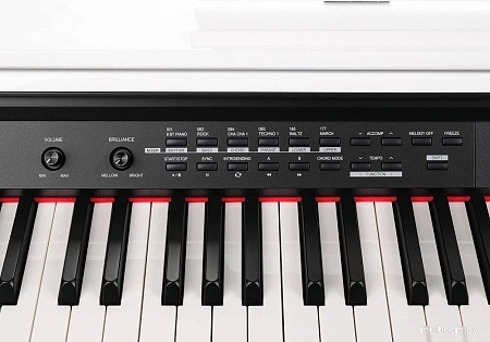 Цифровое пианино Medeli DP330 (белый)