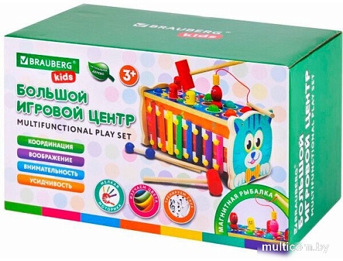 Развивающая игрушка BRAUBERG 665249