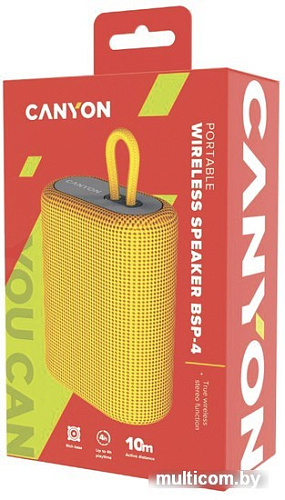 Беспроводная колонка Canyon CNE-CBTSP4Y