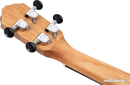 Укулеле Ortega Timber RFU10S