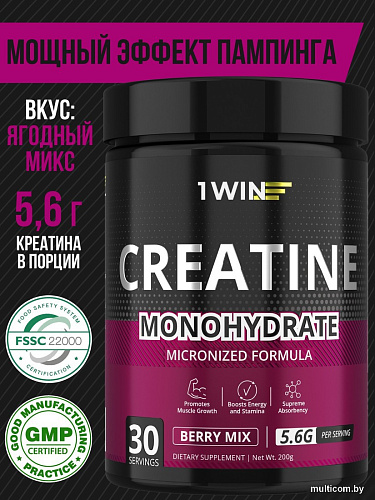 Моногидрат креатина 1WIN Моногидрат (200г, ягодный микс)