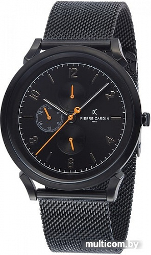 Наручные часы Pierre Cardin CPI.2031