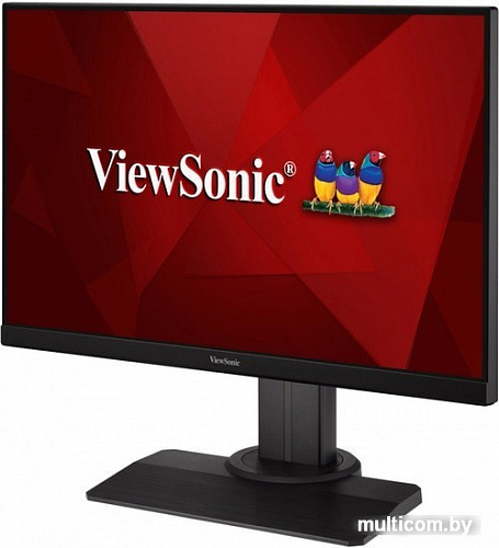 Монитор ViewSonic XG2405-2
