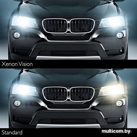 Ксеноновая лампа Philips D3S Xenon Vision 1шт (42403VIC1)