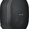 Акустика Apart Audio OVO5T-BL