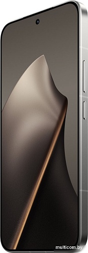 Телефон Xiaomi 15T Pro 12GB/1TB международная версия (серый)