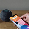 Умная колонка Apple HomePod Mini (серый космос)