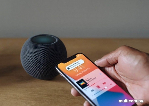 Умная колонка Apple HomePod Mini (серый космос)