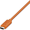 Внешний жесткий диск LaCie Rugged USB-C 2TB