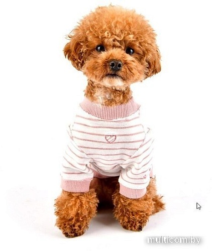 Свитер для животных Pinkaholic Hash NASD-TS7503-IP-M (розовый)