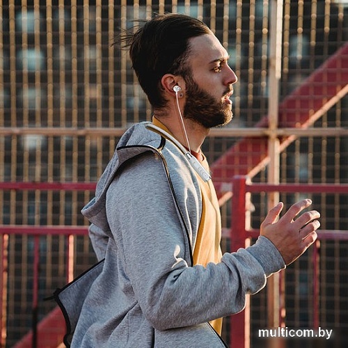 Наушники Hoco ES62 (серебристый)