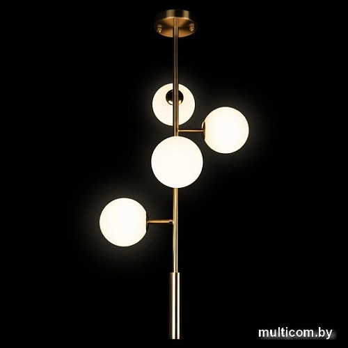 Подвесная люстра LOFT IT Tely 10236/4