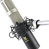 Микрофон Recording Tools MCS-02