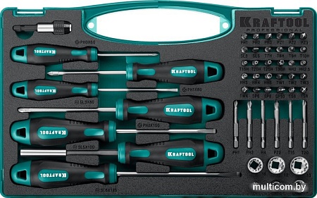 Набор отвертка с битами и головками KRAFTOOL 25815 (50 предметов)