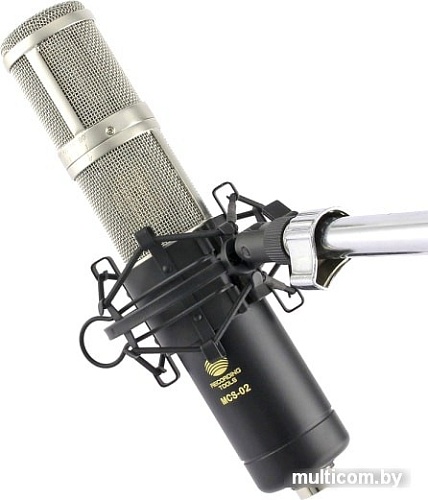 Микрофон Recording Tools MCS-02