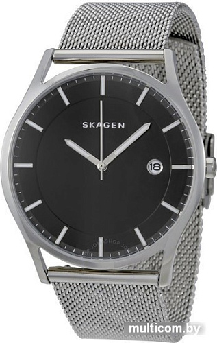 Наручные часы Skagen SKW6284