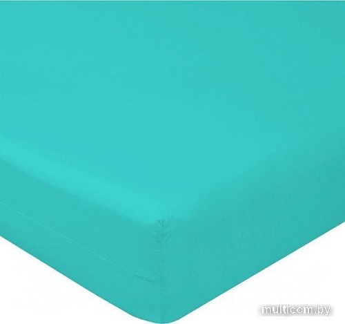 Постельное белье Luxsonia Поплин на резинке 180x200 Мр0040-13 (тиффани)