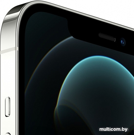 Смартфон Apple iPhone 12 Pro Max 128GB (серебристый)