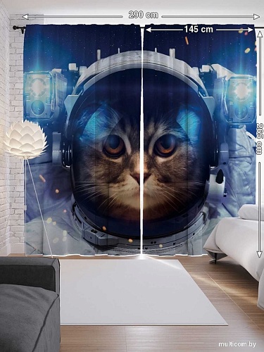 JoyArty Котик в космосе p_6851