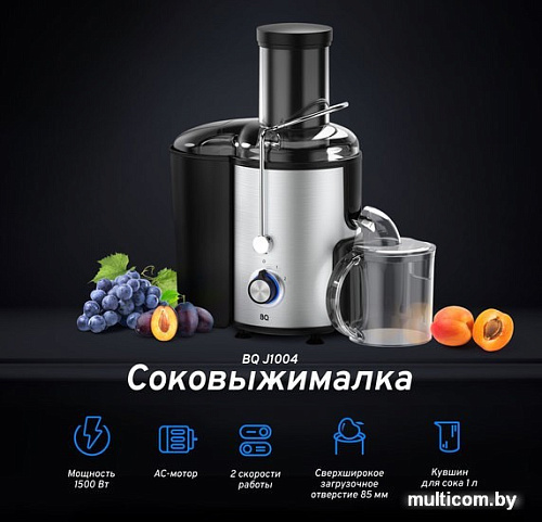 Соковыжималка BQ J1004