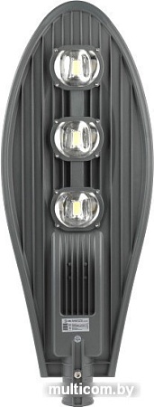 Садовый светильник ЭРА SPP-5-150-5K-W Б0029445