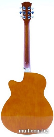 Акустическая гитара Elitaro E4030 SB