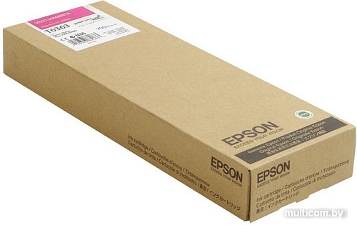 Картридж Epson C13T636300
