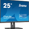 Монитор Iiyama ProLite XUB2595WSU-B5