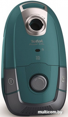 Пылесос Tefal TW3132EA