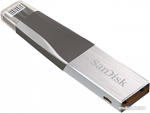 USB Flash SanDisk iXpand Mini 64GB