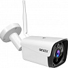 IP-камера Ginzzu HWB-4301A