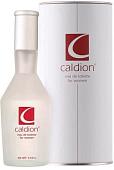 Hunca Caldion EdT 100 мл