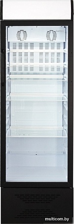 Торговый холодильник Бирюса B310PN