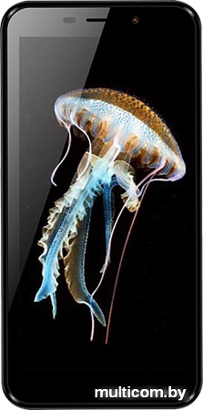 Смартфон TeXet TM-5081 (черный)