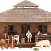 Игровой набор Masai Mara На ферме ММ205-064