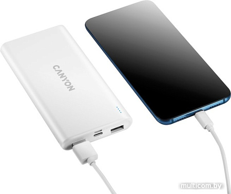 Портативное зарядное устройство Canyon CNE-CPB1006W