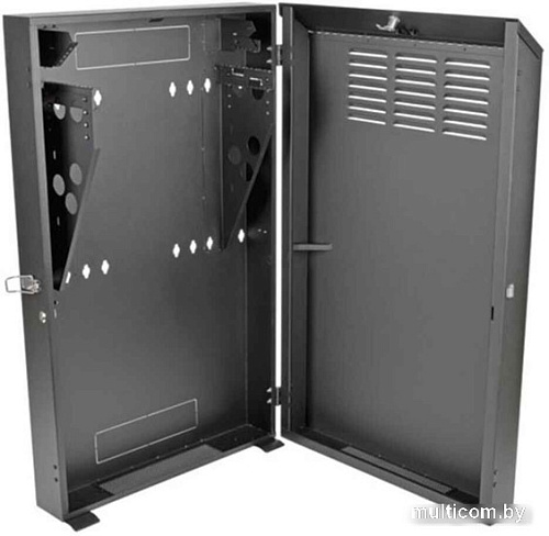 Шкаф серверный Tripp Lite SRWF6U36