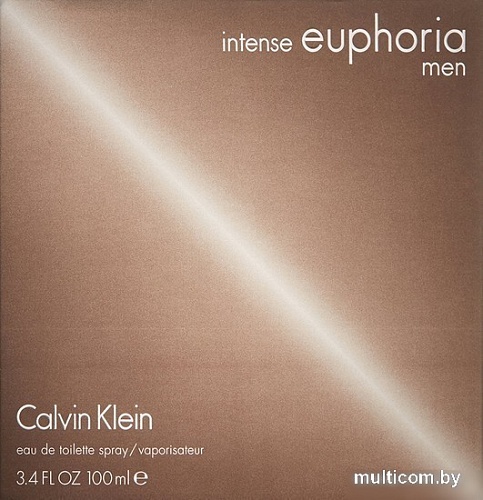 Calvin Klein Intense Euphoria Men EdT (100 мл)