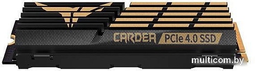 SSD Team T-Force Cardea A440 4TB TM8FPZ004T0C327