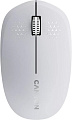 Мышь Canyon MW-04 (белый)