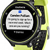 Умные часы Garmin Forerunner 235 HRM black/mint