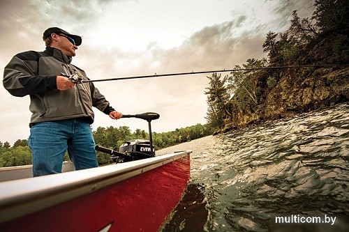 Лодочный мотор Minn Kota Endura Max 50 36"