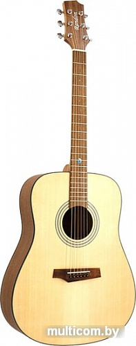 Акустическая гитара Randon RGI-01